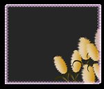 芦苇边框