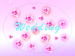 玫瑰花