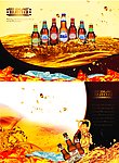 宣传页正反