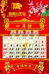 2010年虎年新年春节