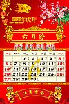 2010年虎年新年春节