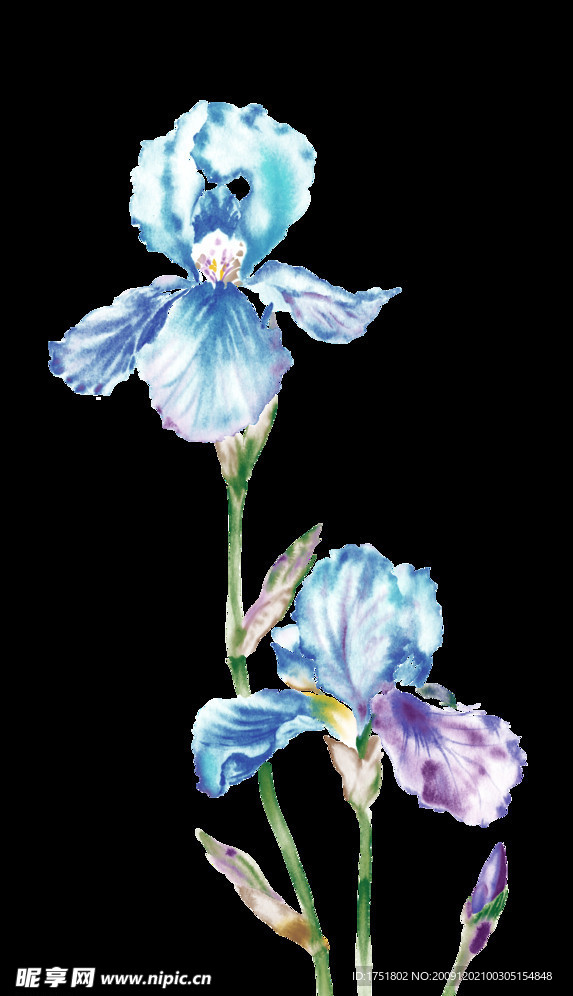视觉花艺术3