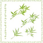 竹子叶矢量素材