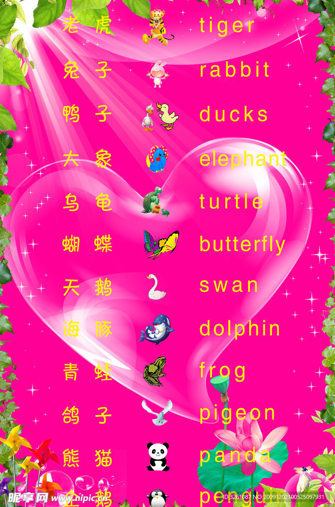 动物