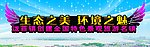 生态之美环境之魅