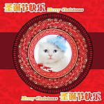 圣诞小猫02