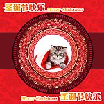 圣诞小猫05