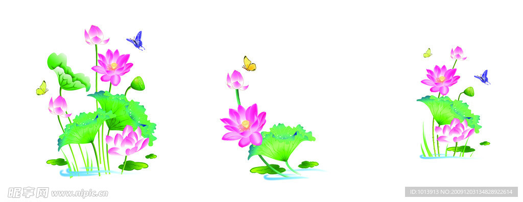 荷花