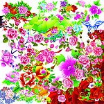 喜庆花卉合集