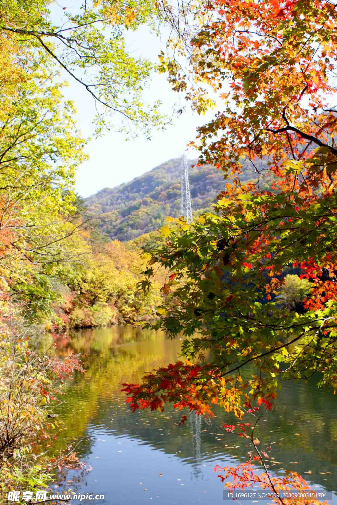 关门山枫叶