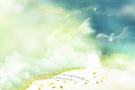 婚纱模版