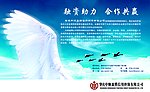融资助力合作共赢海报
