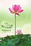 音乐社宣传广告