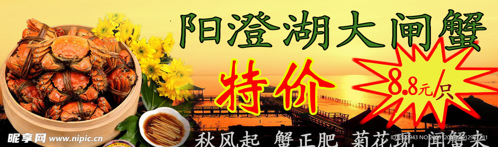 大闸蟹