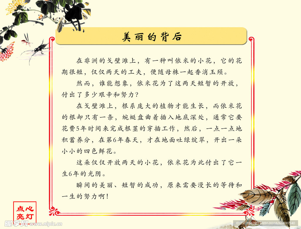 点亮心灯之《美丽的背后》