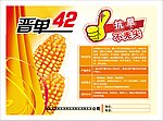 晋单42