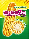 东单7号