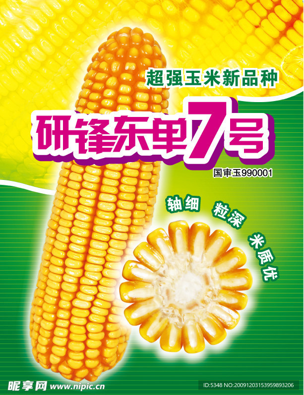 东单7号
