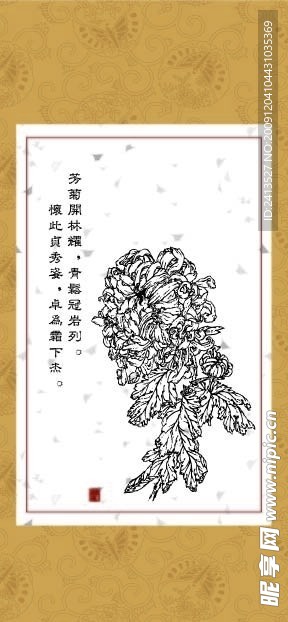 雅菊系列1