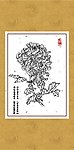 雅菊系列5