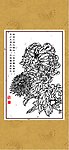 雅菊系列6