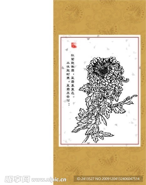 雅菊系列8