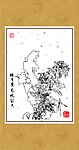 雅菊系列12