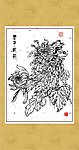 雅菊系列15