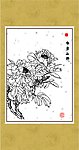 争芳斗艳