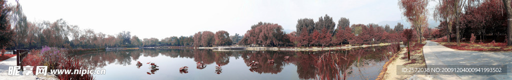 公园景