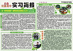 简报