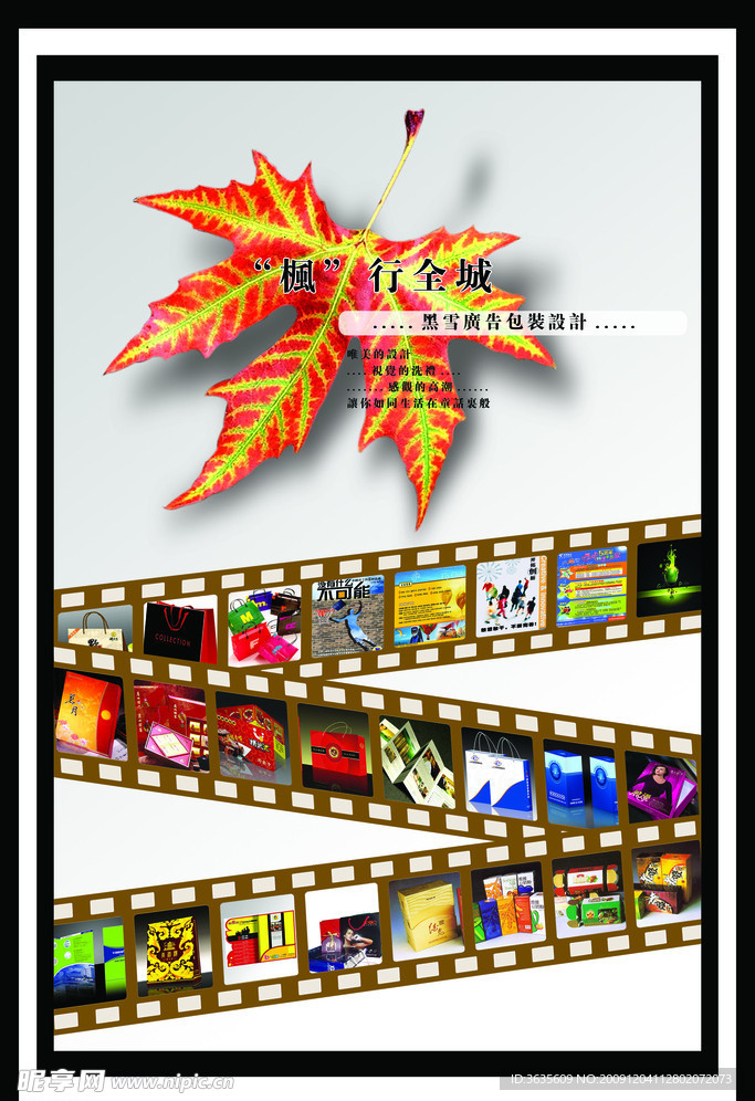 枫行全城