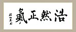 字画 书法