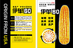 伊单60