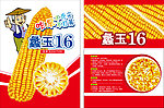 蠡玉16