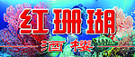 红珊瑚酒楼门头招牌