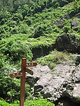 自然风景