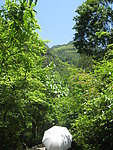 自然风景