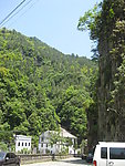田园风光