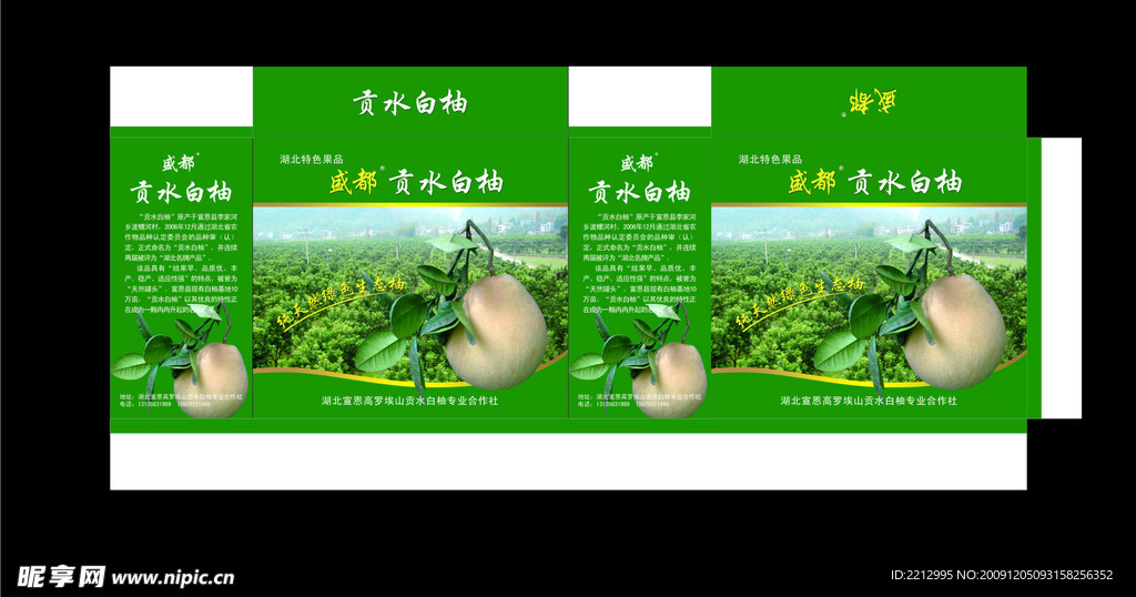 柚子包装