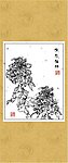 雅菊系列17