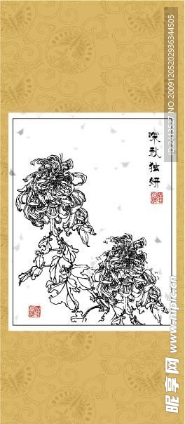 雅菊系列17