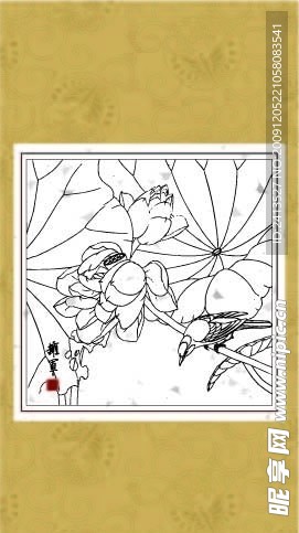 荷花翠鸟
