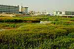 洪洞城涧河