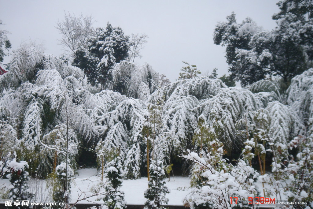 下雪的安静