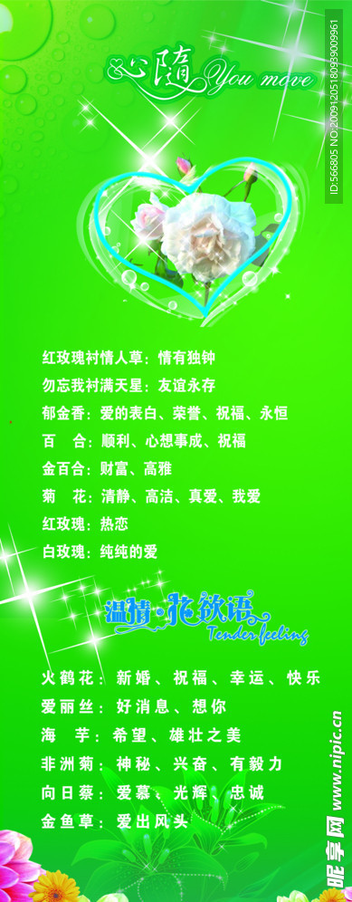 心随你动