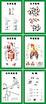 实验室各种挂图