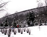明城墙雪韵