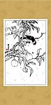 花鸟系列（二十七）