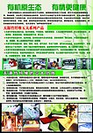 生态竹纺